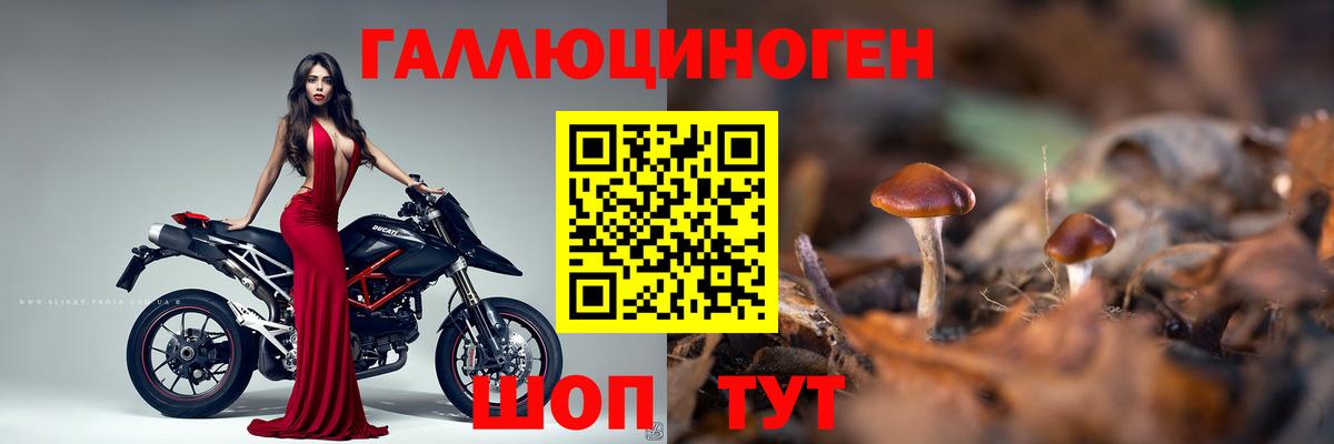 Псилоцибиновые грибы мицелий Грязи