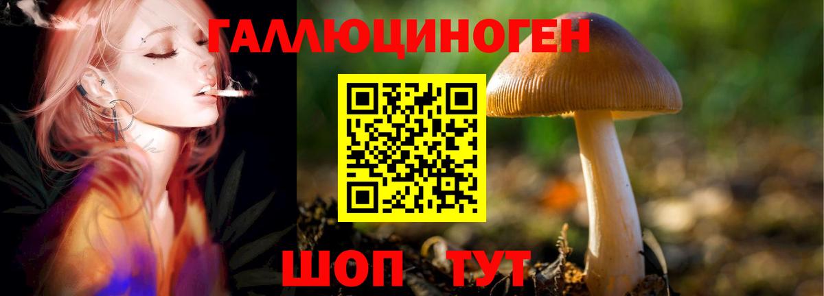 где продают   Вход с VPN  Псилоцибиновые грибы мицелий  Грязи  Галлюциногенные грибы мицелий 